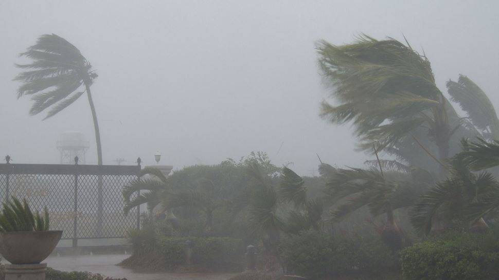 കനത്ത മഴയ്ക്കും കാറ്റിനും സാധ്യത; കേരളത്തിലും ലക്ഷദ്വീപിലും ജാഗ്രതാ നിര്ദ്ദേശം കനത്ത മഴയ്ക്കും കാറ്റിനും സാധ്യത; കേരളത്തിലും ലക്ഷദ്വീപിലും ജാഗ്രതാ നിര്ദ്ദേശം