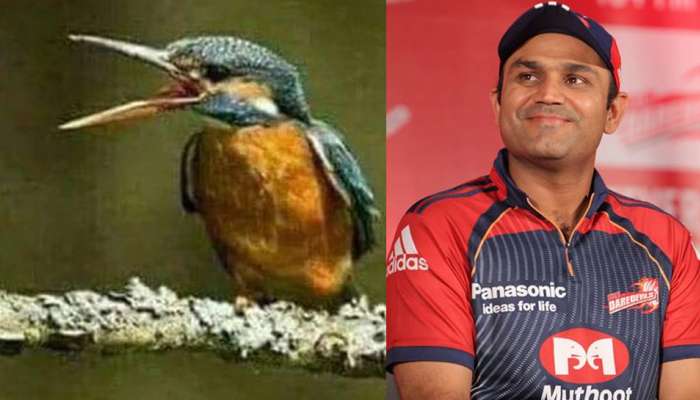 ഭര്ത്താവിനെ തിരിച്ചറിഞ്ഞ സെവാഗിന്റെ ട്വീറ്റ് വൈറല് ഭര്ത്താവിനെ തിരിച്ചറിഞ്ഞ സെവാഗിന്റെ ട്വീറ്റ് വൈറല്