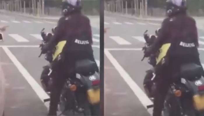 Viral Video:വനിതാ ബൈക്കറുടെ 'പ്രകടന'ത്തിന് കയ്യടിച്ച് സോഷ്യല് മീഡിയ Viral Video:വനിതാ ബൈക്കറുടെ 'പ്രകടന'ത്തിന് കയ്യടിച്ച് സോഷ്യല് മീഡിയ