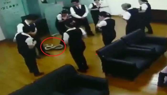 Video: സ്റ്റാഫ് മീറ്റി൦ഗിലെ അപ്രതീക്ഷിത അതിഥി..! Video: സ്റ്റാഫ് മീറ്റി൦ഗിലെ അപ്രതീക്ഷിത അതിഥി..!